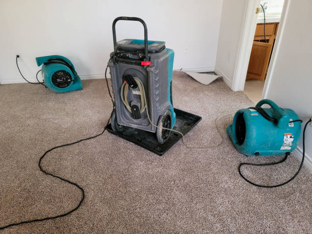Best Professional water damage repair  in Grosse Pointe Woods, MI
