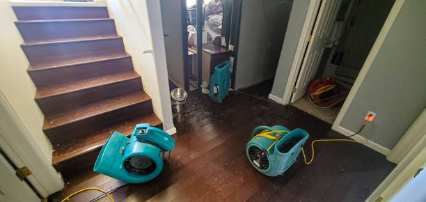  Grosse Pointe Woods, MI Water damage restoration Pros