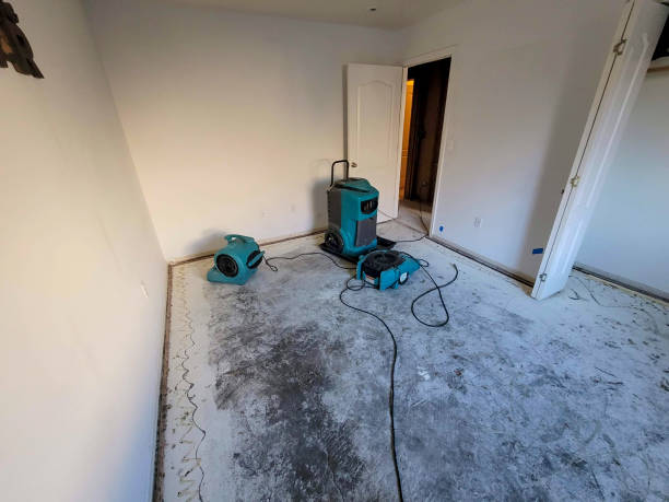 Best Basement water damage restoration  in Grosse Pointe Woods, MI