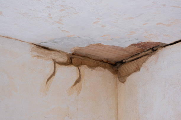 Best Sewage cleanup and water damage restoration  in Grosse Pointe Woods, MI