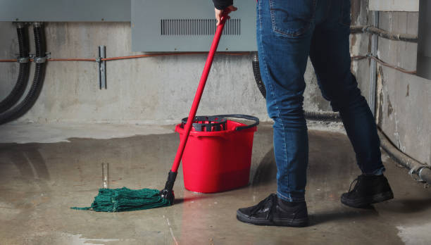 Best Water damage contractors near me  in Grosse Pointe Woods, MI