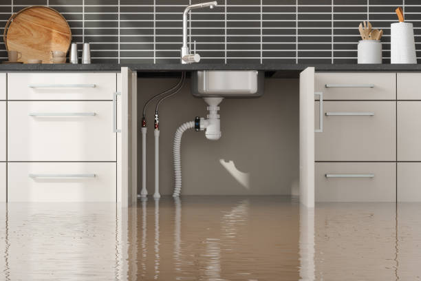 Best 24/7 water damage repair  in Grosse Pointe Woods, MI